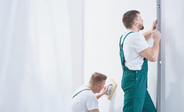 Lovely Space Two men performing a renovation